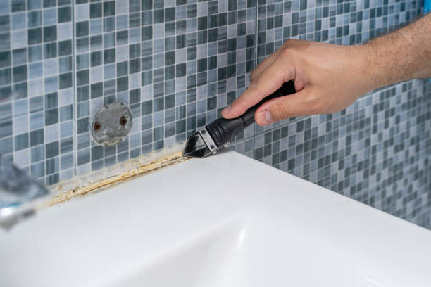 Best Residential Mold Remediation in Flora, IL